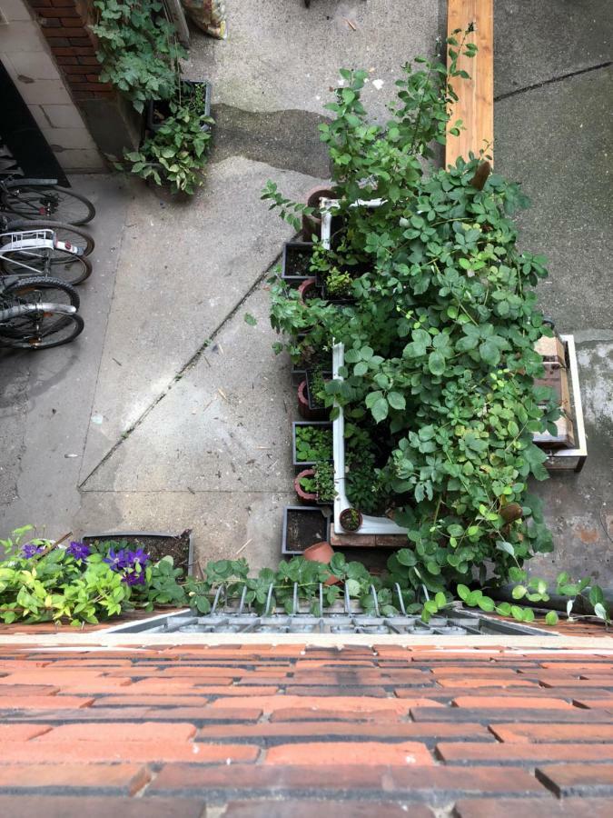 Downtown - Privaterooms Fuerth